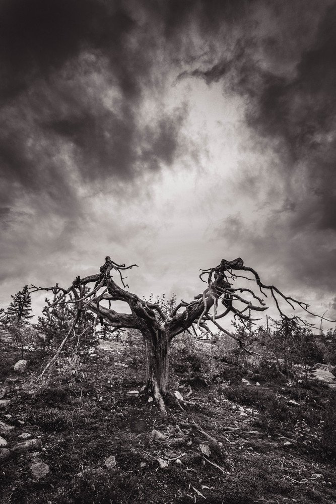 Photograph by Евгений Волосков