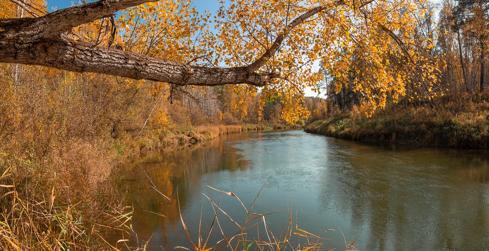 Photograph by Alex Dushutin