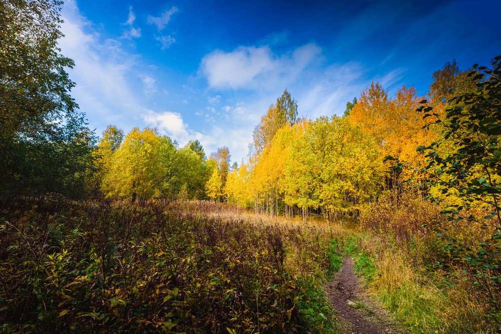 Photograph by Евгений Волосков