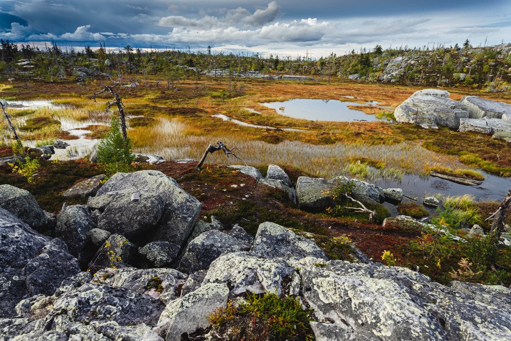 Photograph by Евгений Волосков