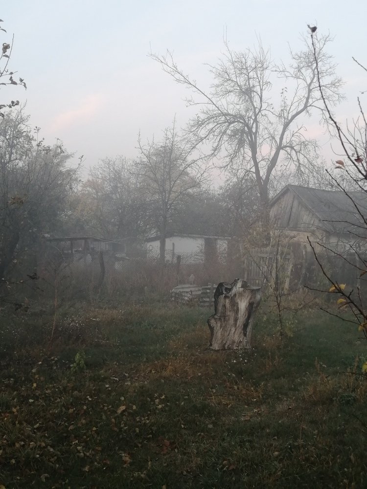 Photograph by Александр Симонов