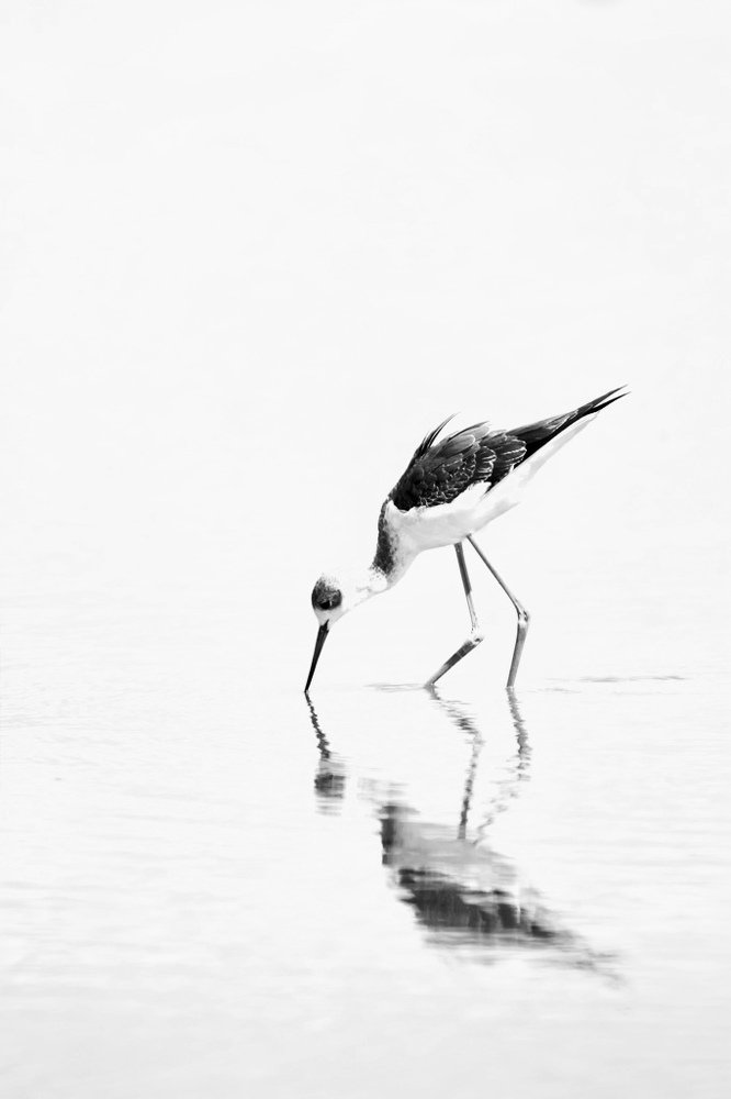 Photograph by Maria Tripoten