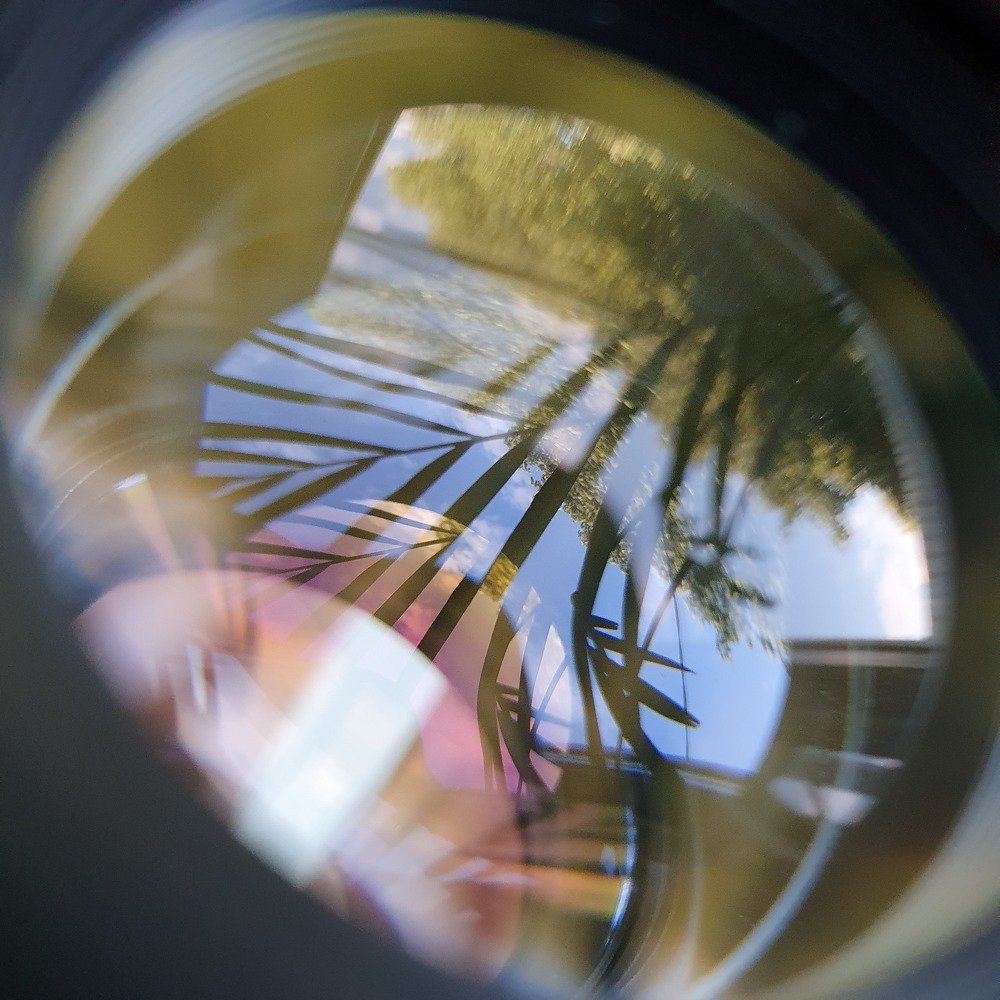 Фотография автора Римма Савина