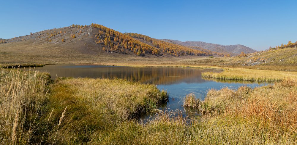 Photograph by Марина Новожилова