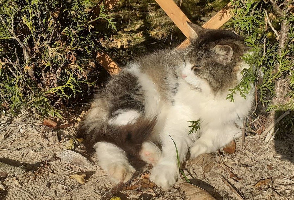 Photograph by Любовь Макарова