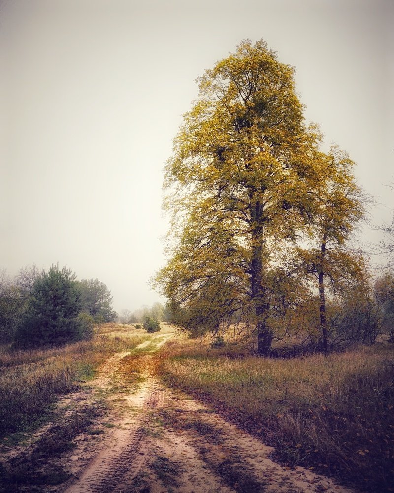 Photograph by Andreas Koff