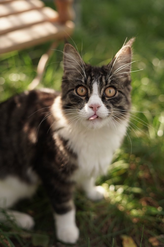 Photograph by Валерия Агафонова