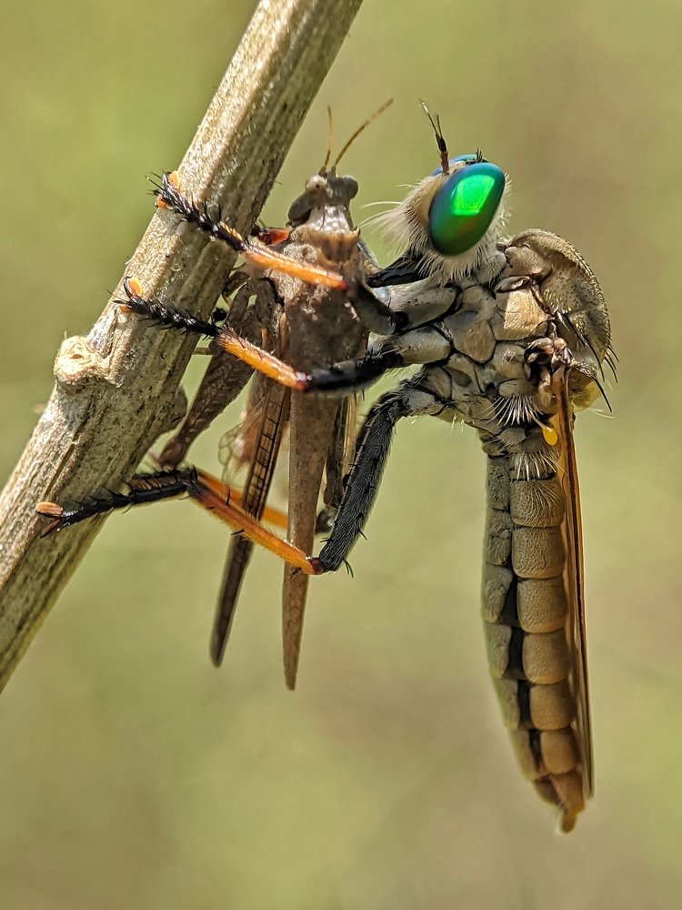 Photograph by Shipon Mostafa