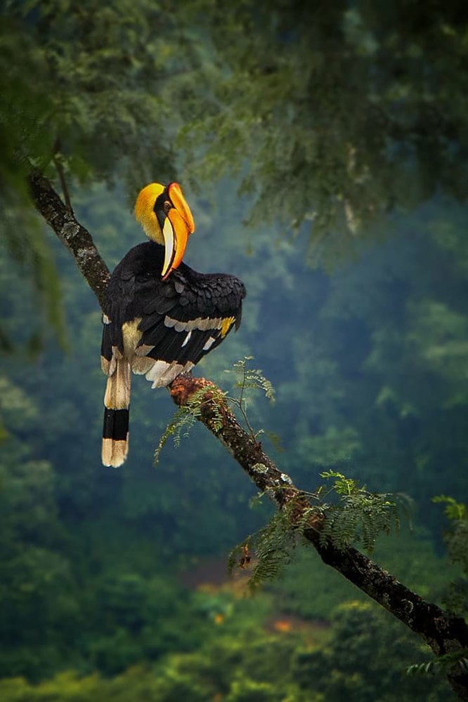 Photograph by Deep Choudhury