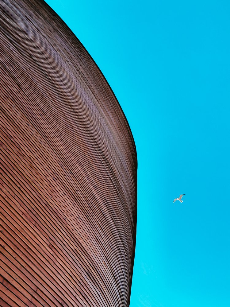 Photograph by Валерия Машкова