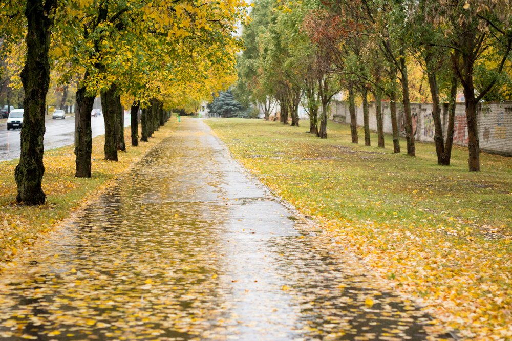 Photograph by Юлия Вершинина