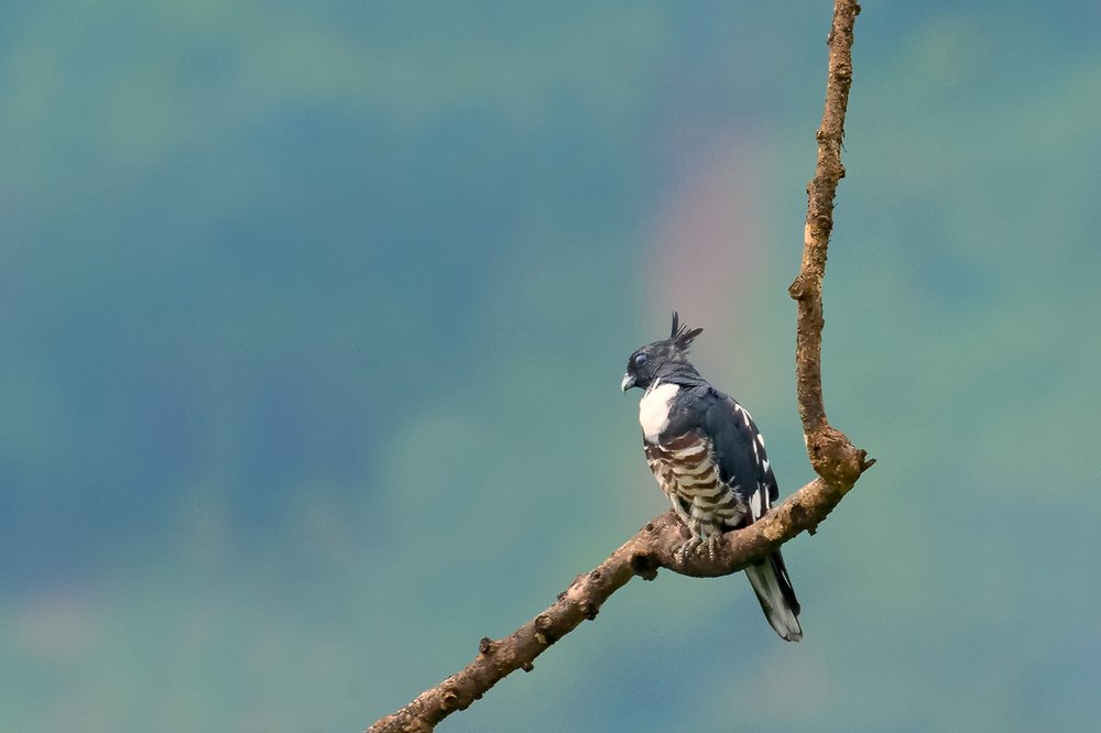 Photograph by Deep Choudhury