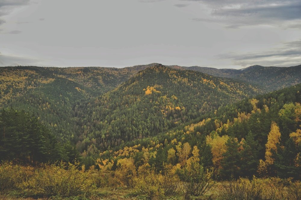 Photograph by Ярослава Синцова