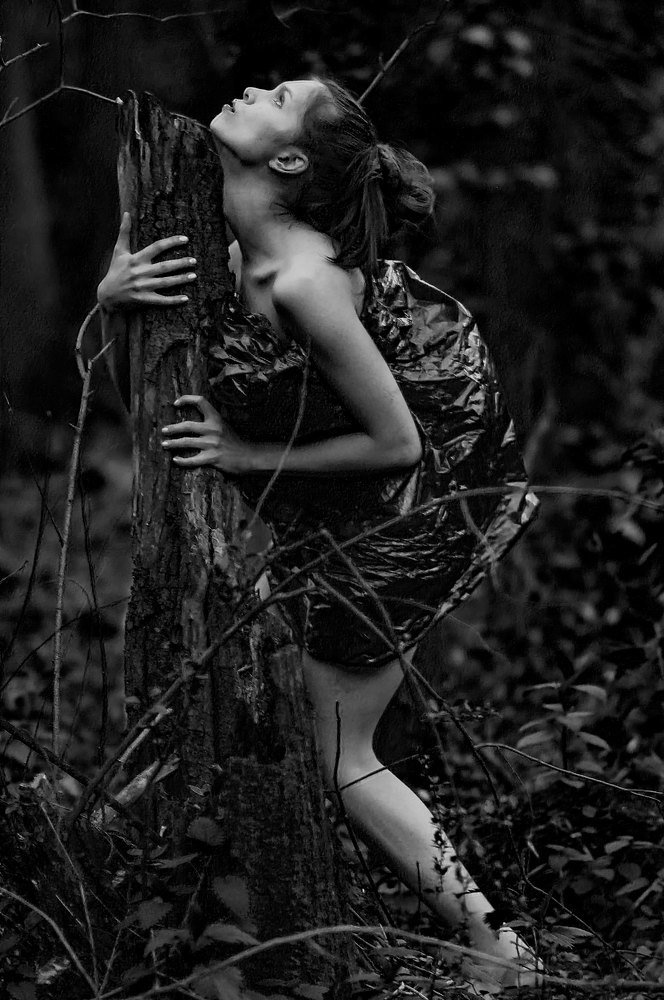 Фотография автора Николай Нестеренко