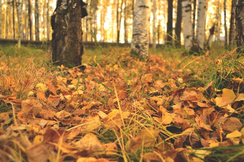 Photograph by Ярослава Синцова