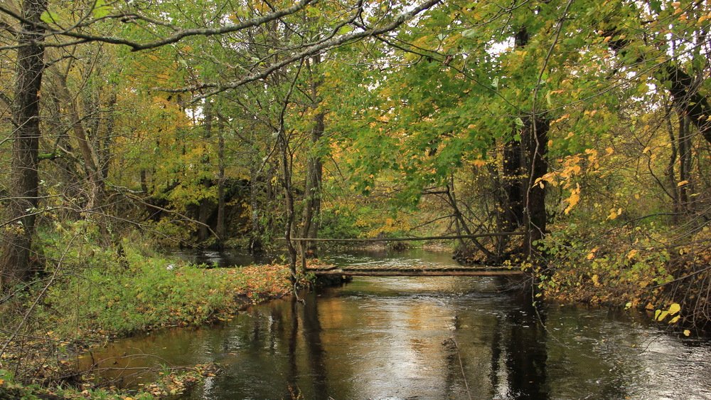 мостик через реку детства
