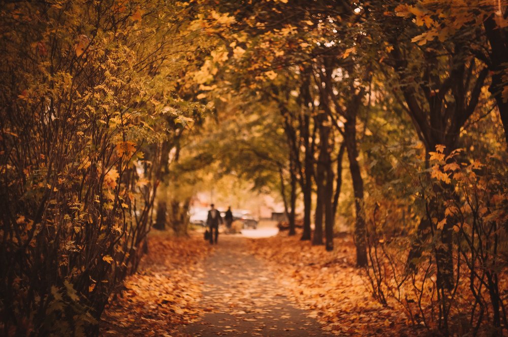 Photograph by Olesia Chepurchenko