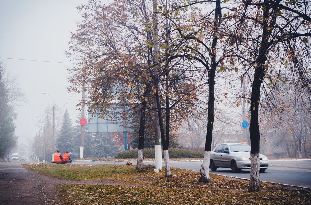 Photograph by Ксения Пашунеску