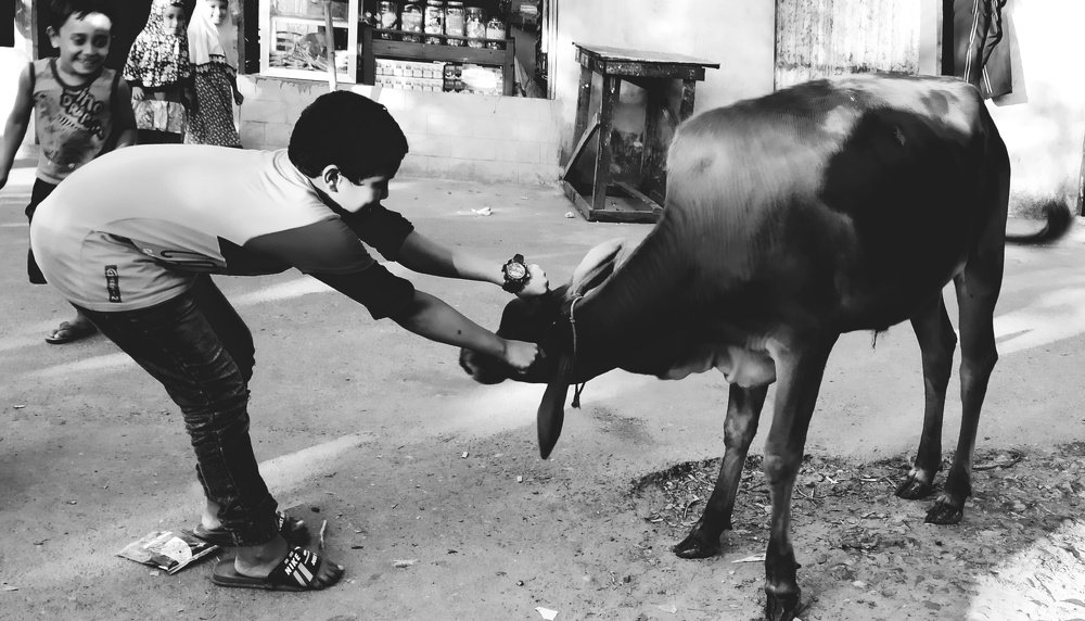 Childhood