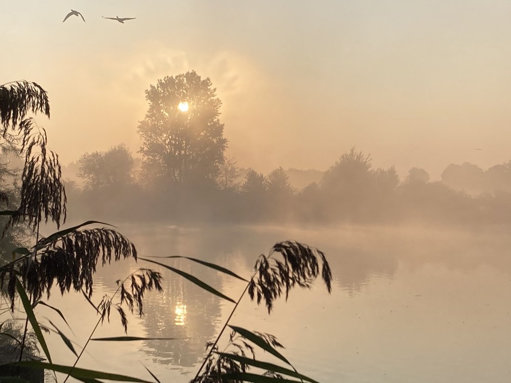 Туманный рассвет