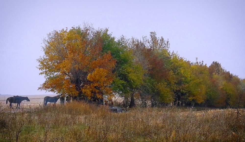 Photograph by Елизавета Можельская
