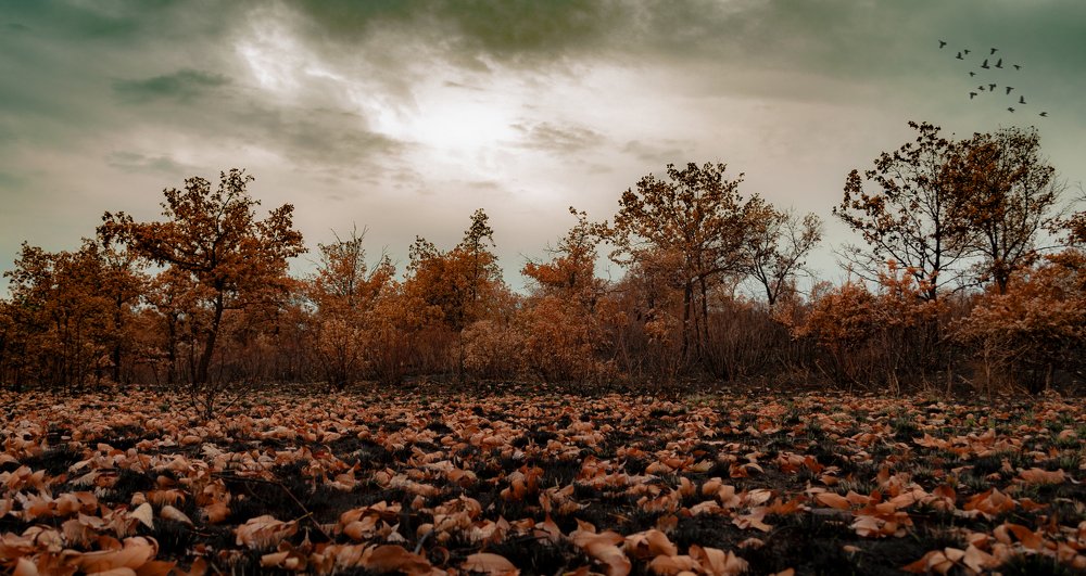 Photograph by Юрий Мымриков