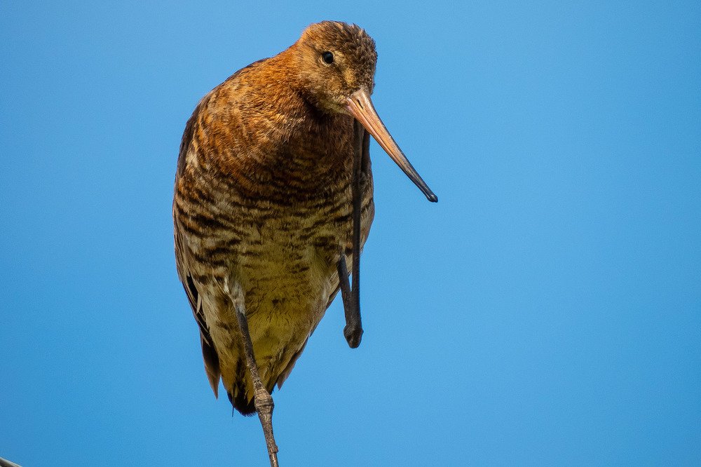 Надо подумать...