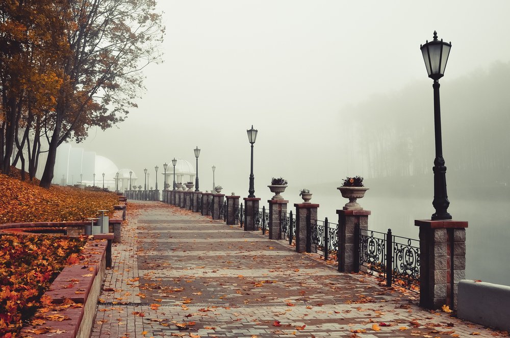 Photograph by Ольга Могдалёва