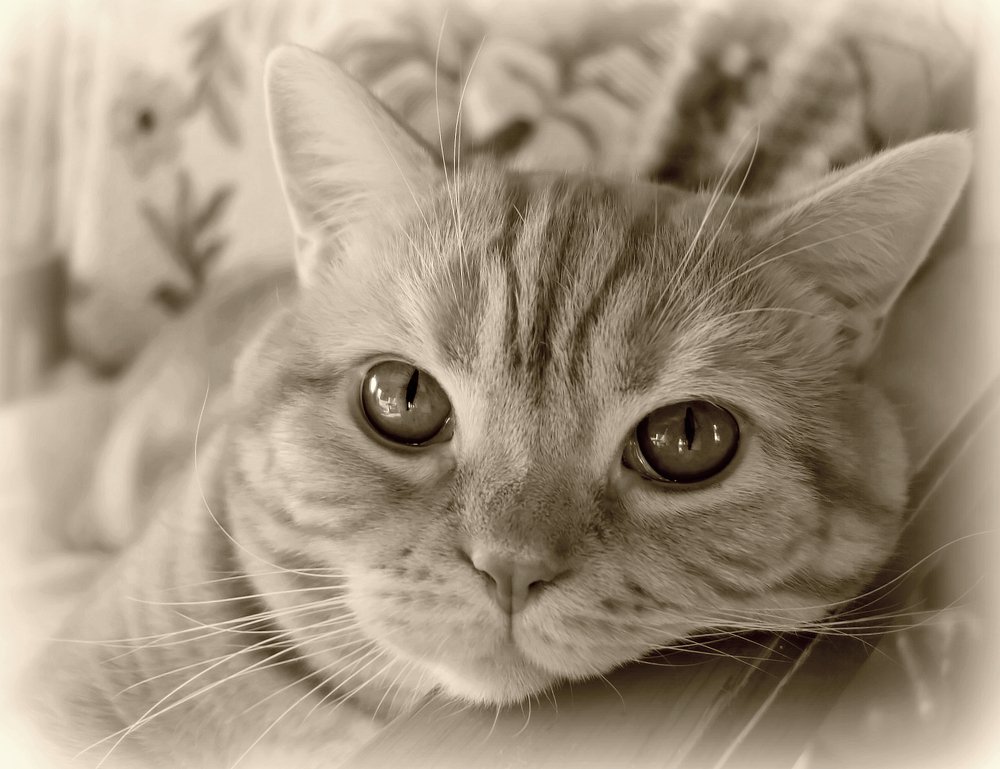 Фотография автора Валентина Гундарева