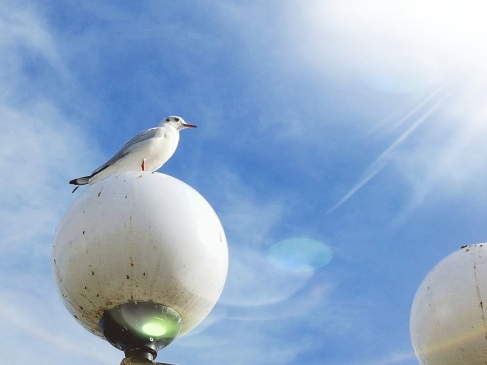 Photograph by Екатерина Емельянова