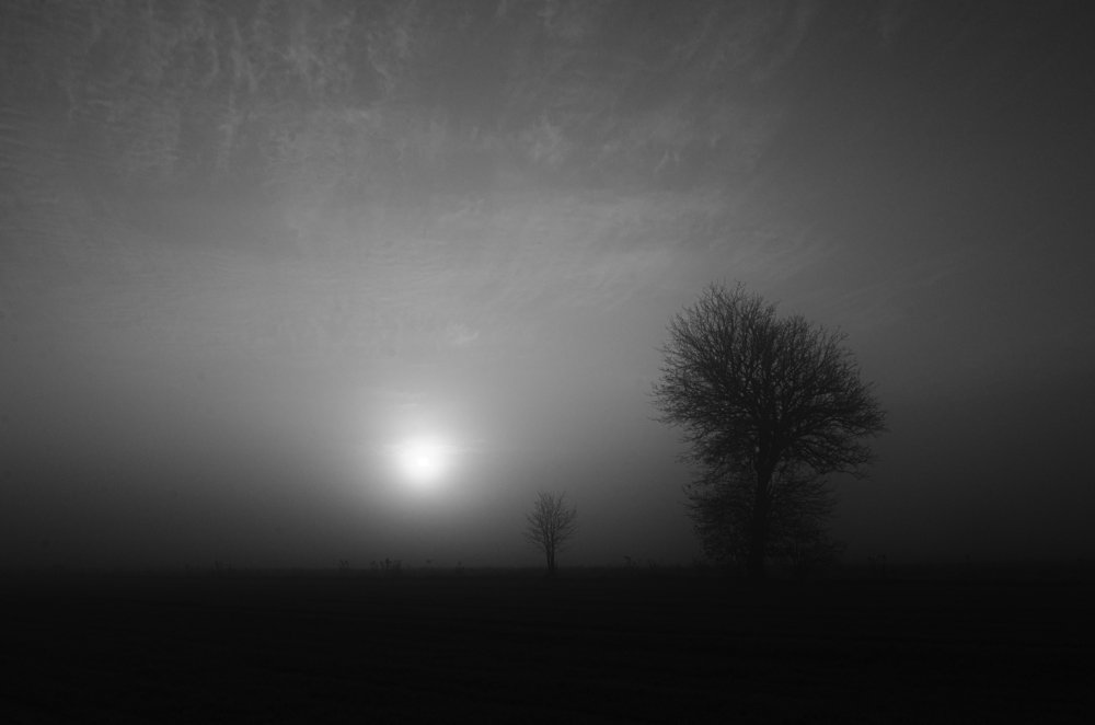 Photograph by Agnieszka Szadowiak