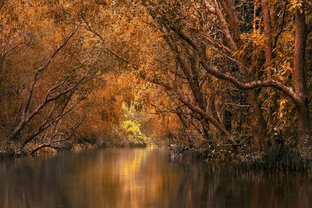 Photograph by Roberto Pazzi