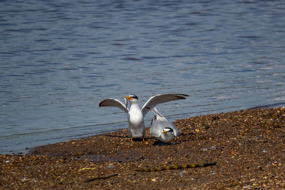 Photograph by Елена Вотинцева