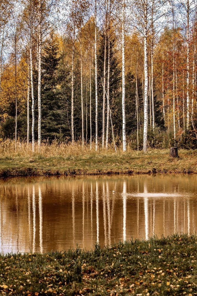 Фотография автора Мария Сурмачева
