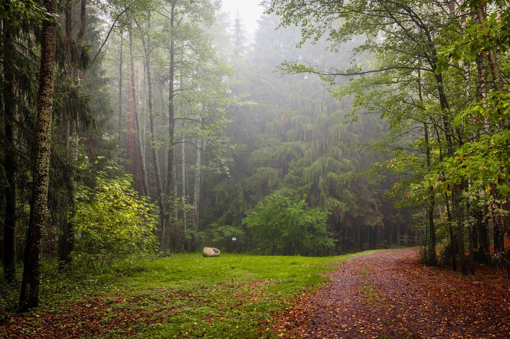 Осторожная поступь осени.