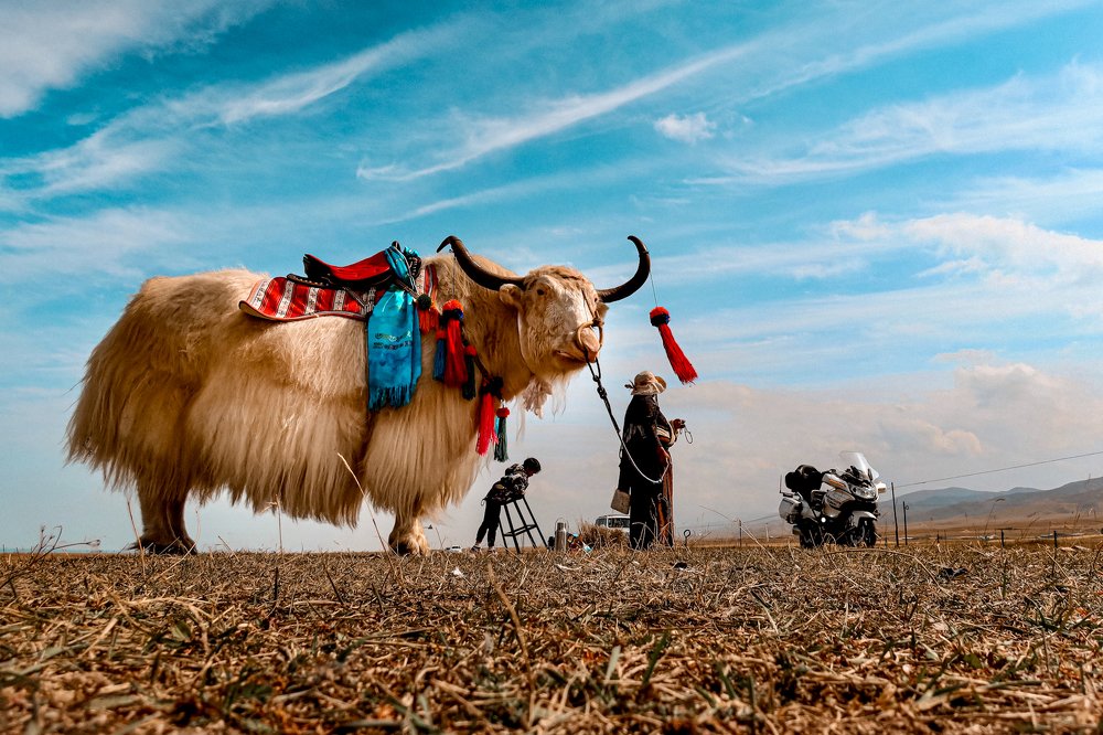 Photograph by Belov Alexey