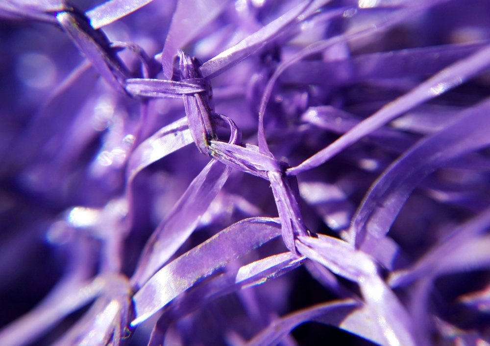 Фотография автора Дмитрий Деревянко