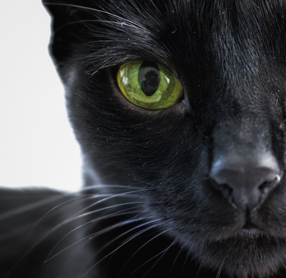 Photograph by Hasan Orhon