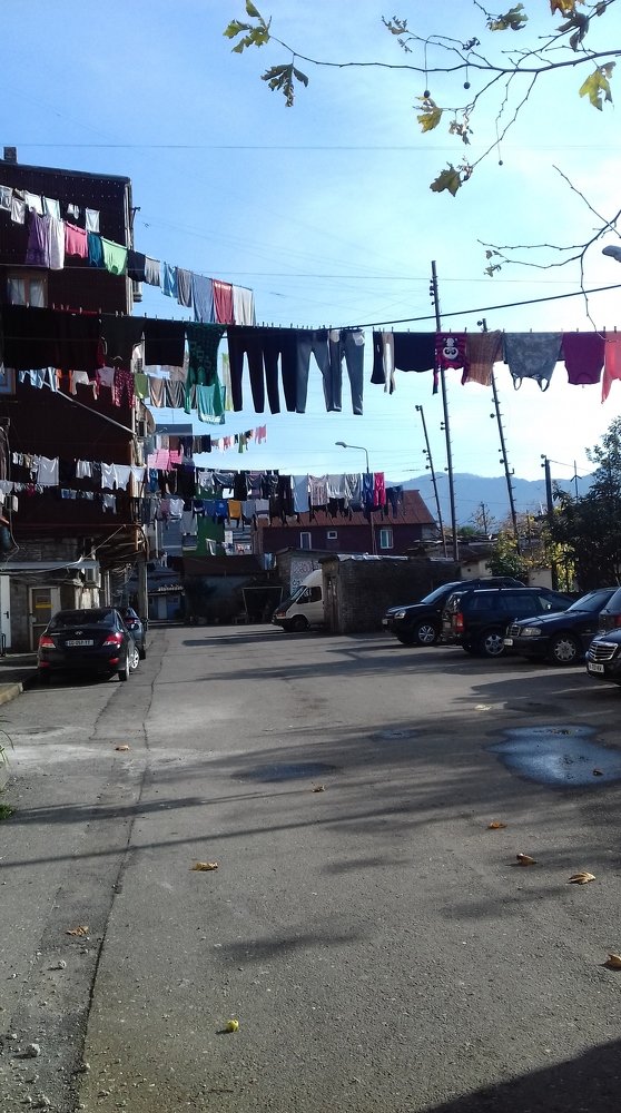 Photo #5059755