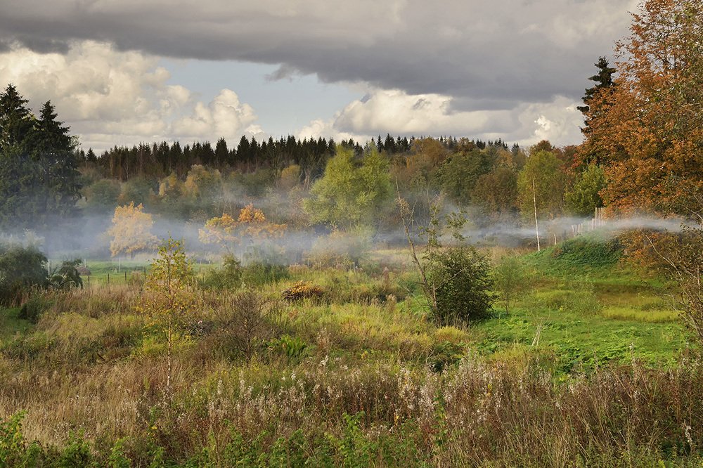 Photograph by Григорий Гурьев