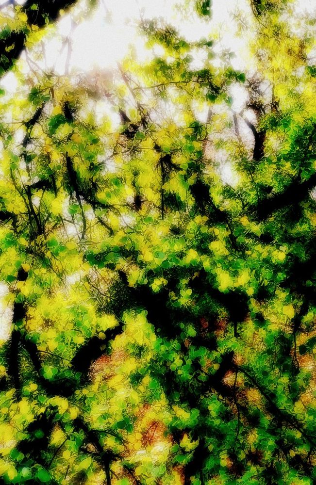 Photograph by Arkadij Frejdlin