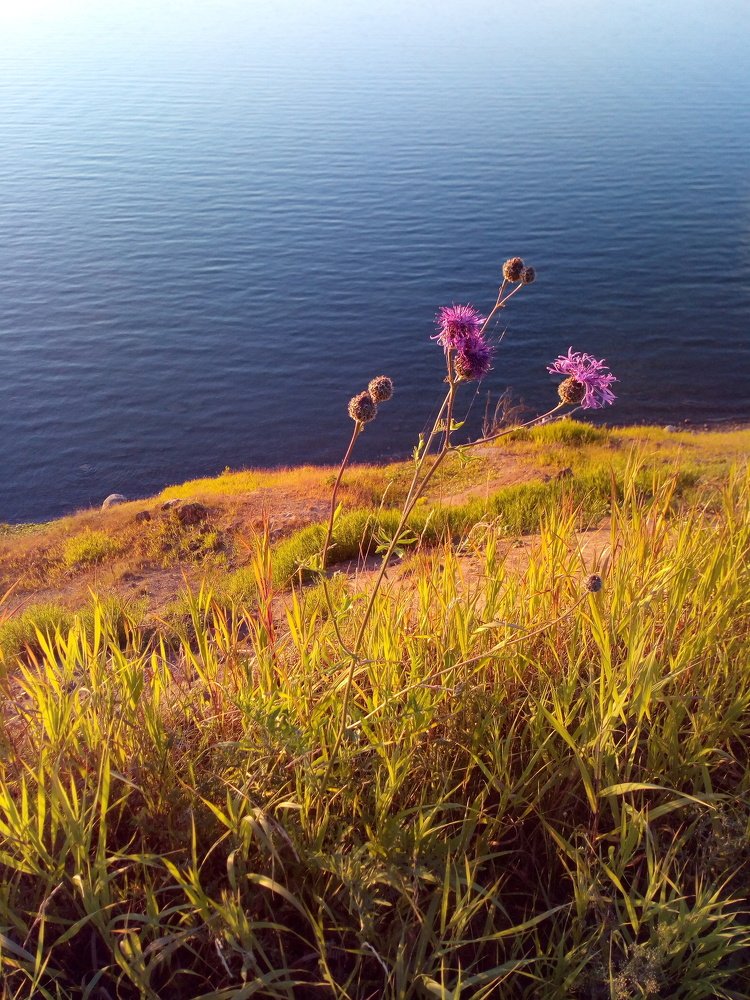 Photograph by Arkadij Frejdlin