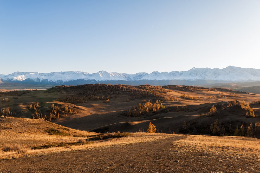 Золотой Алтай