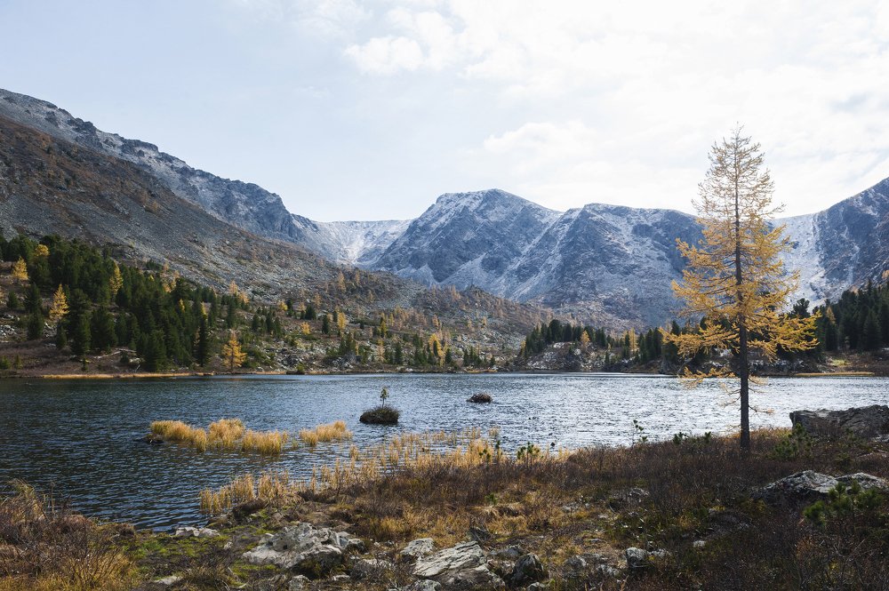 Photograph by Яна Краснопевцева