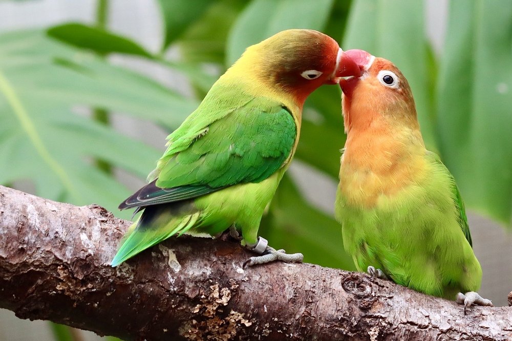 Photograph by Малика Маткарим