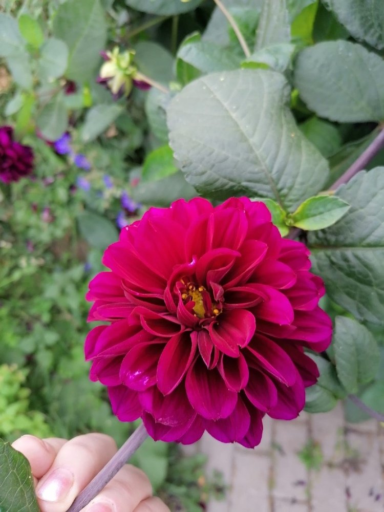 Photograph by Ирина Рябикова