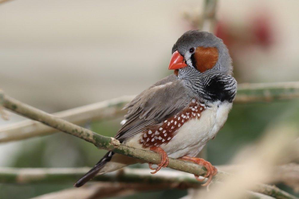 Photograph by Малика Маткарим