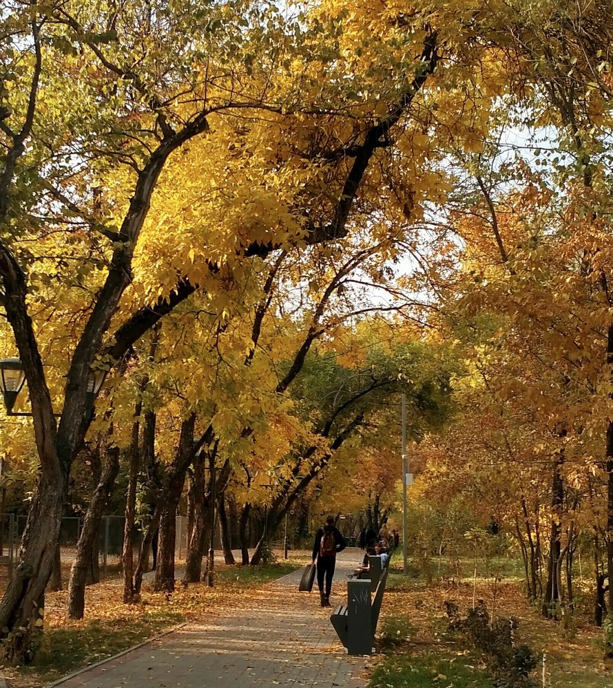 Photograph by Нурия Бикинеева