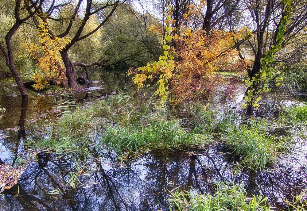 Photograph by Анатолий Салтыков