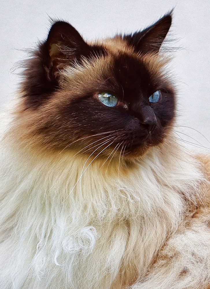 Photograph by Малика Маткарим